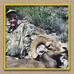 yellowhorn outfitters arizona hunting yellowhorn outfitters arizona bighorn sheep guiding outfitting deer elk antelope photography