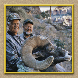 yellowhorn outfitters arizona hunting yellowhorn outfitters arizona bighorn sheep guiding outfitting deer elk antelope photography