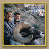 hunting yellowhorn guiding outfitting deer elk bighorn sheep antelope photography