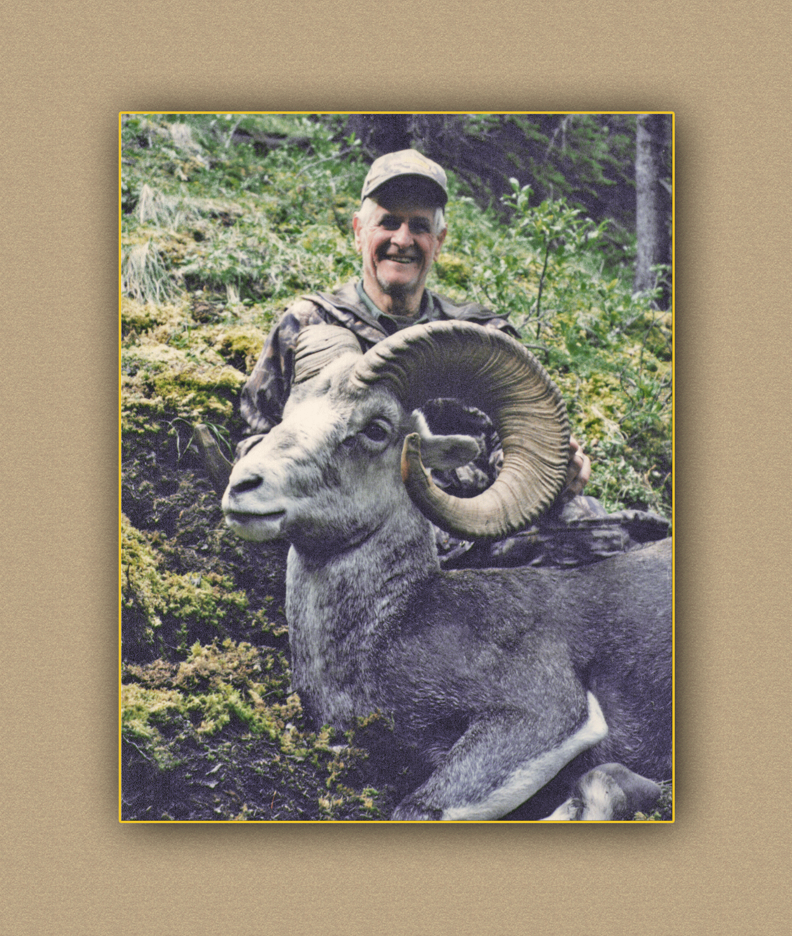hunting yellowhorn guiding outfitting deer elk bighorn sheep antelope photography