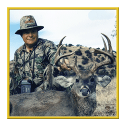 arizona hunting yellowhorn arizona bighorn sheep guiding outfitting deer elk antelope photography