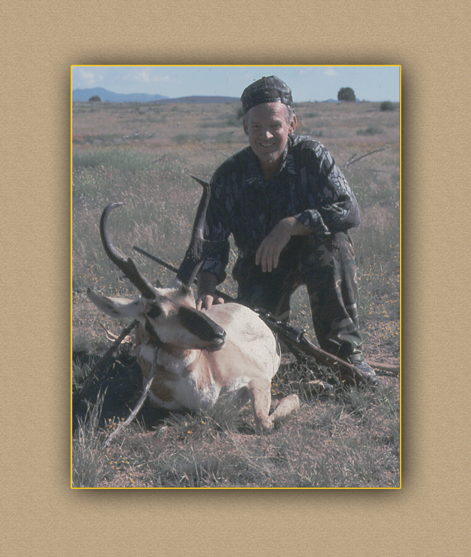 arizona hunting yellowhorn arizona bighorn sheep guiding outfitting deer elk antelope photography