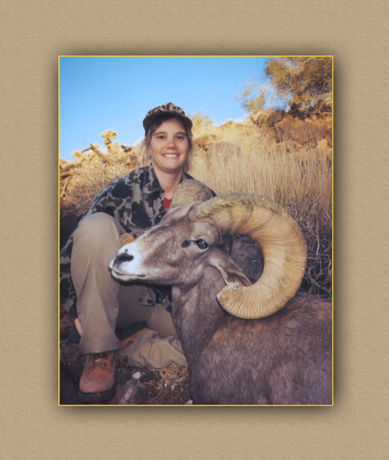 hunting yellowhorn guiding outfitting deer elk bighorn sheep antelope photography