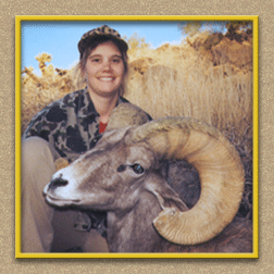 yellowhorn outfitters arizona hunting yellowhorn outfitters arizona bighorn sheep guiding outfitting deer elk antelope photography