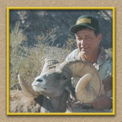 yellowhorn outfitters arizona hunting yellowhorn outfitters arizona bighorn sheep guiding outfitting deer elk antelope photography