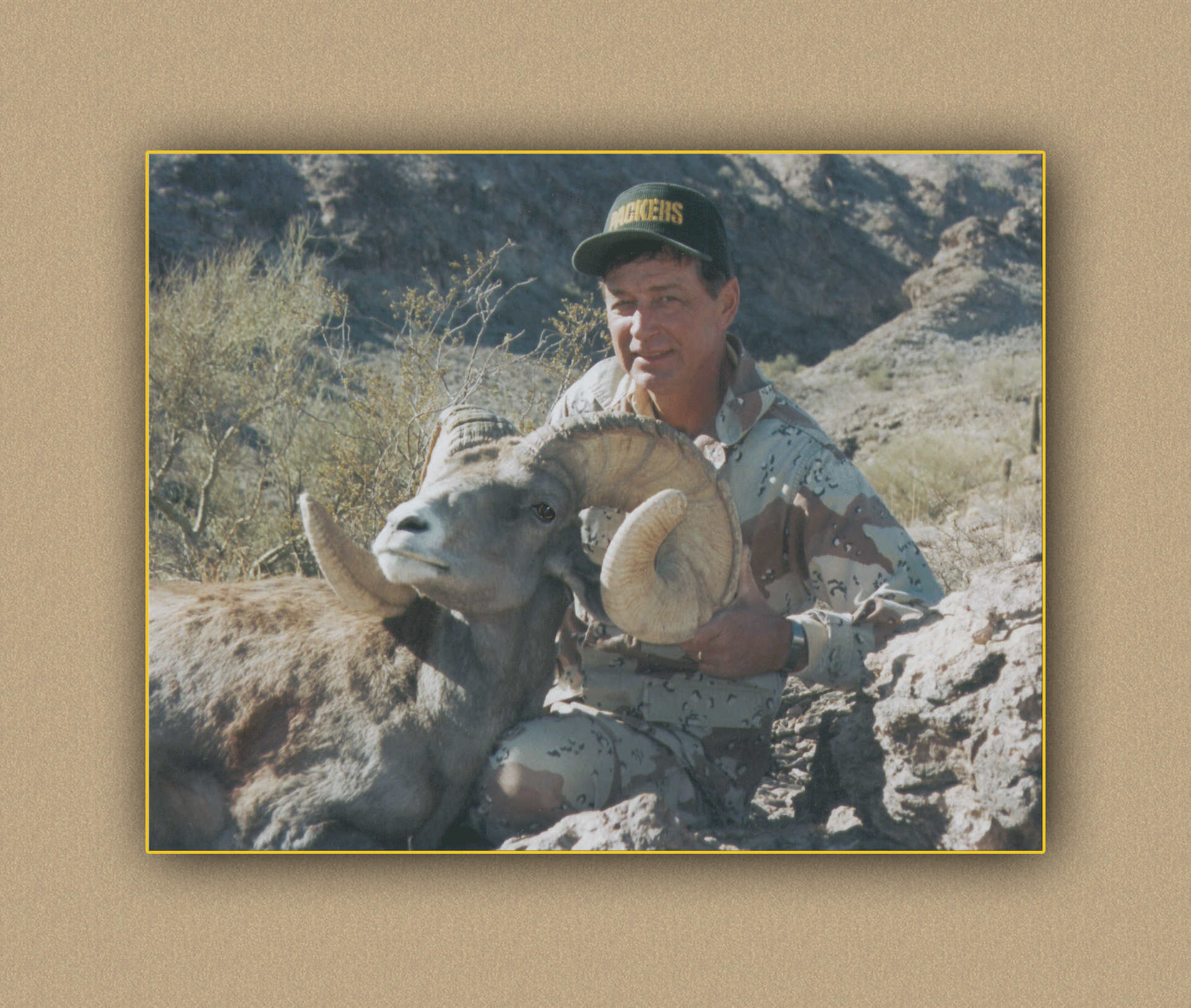 arizona hunting yellowhorn arizona bighorn sheep guiding outfitting deer elk antelope photography