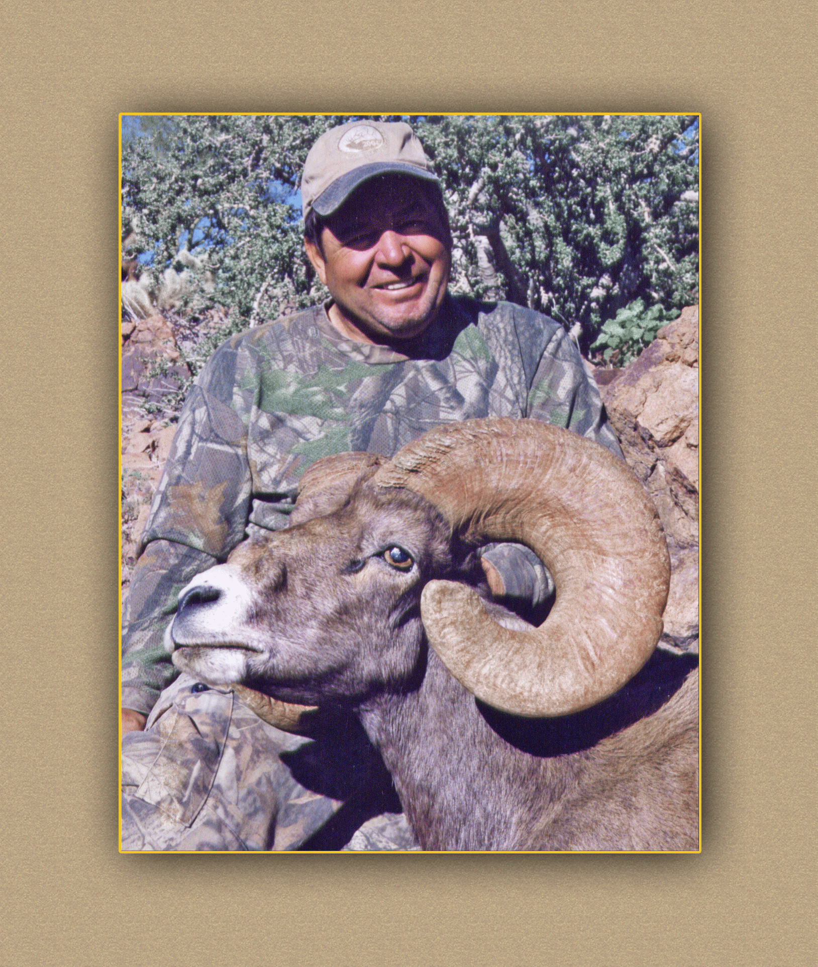 hunting yellowhorn guiding outfitting deer elk bighorn sheep antelope
