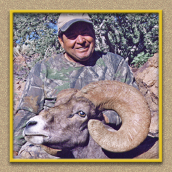 yellowhorn outfitters arizona hunting yellowhorn outfitters arizona bighorn sheep guiding outfitting deer elk antelope photography
