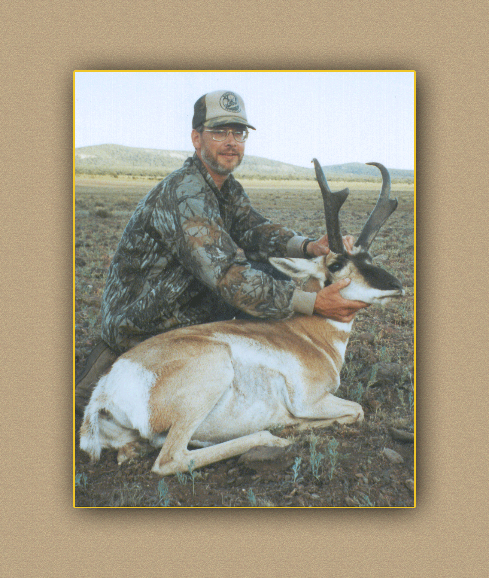 arizona hunting yellowhorn arizona bighorn sheep guiding outfitting deer elk antelope photography