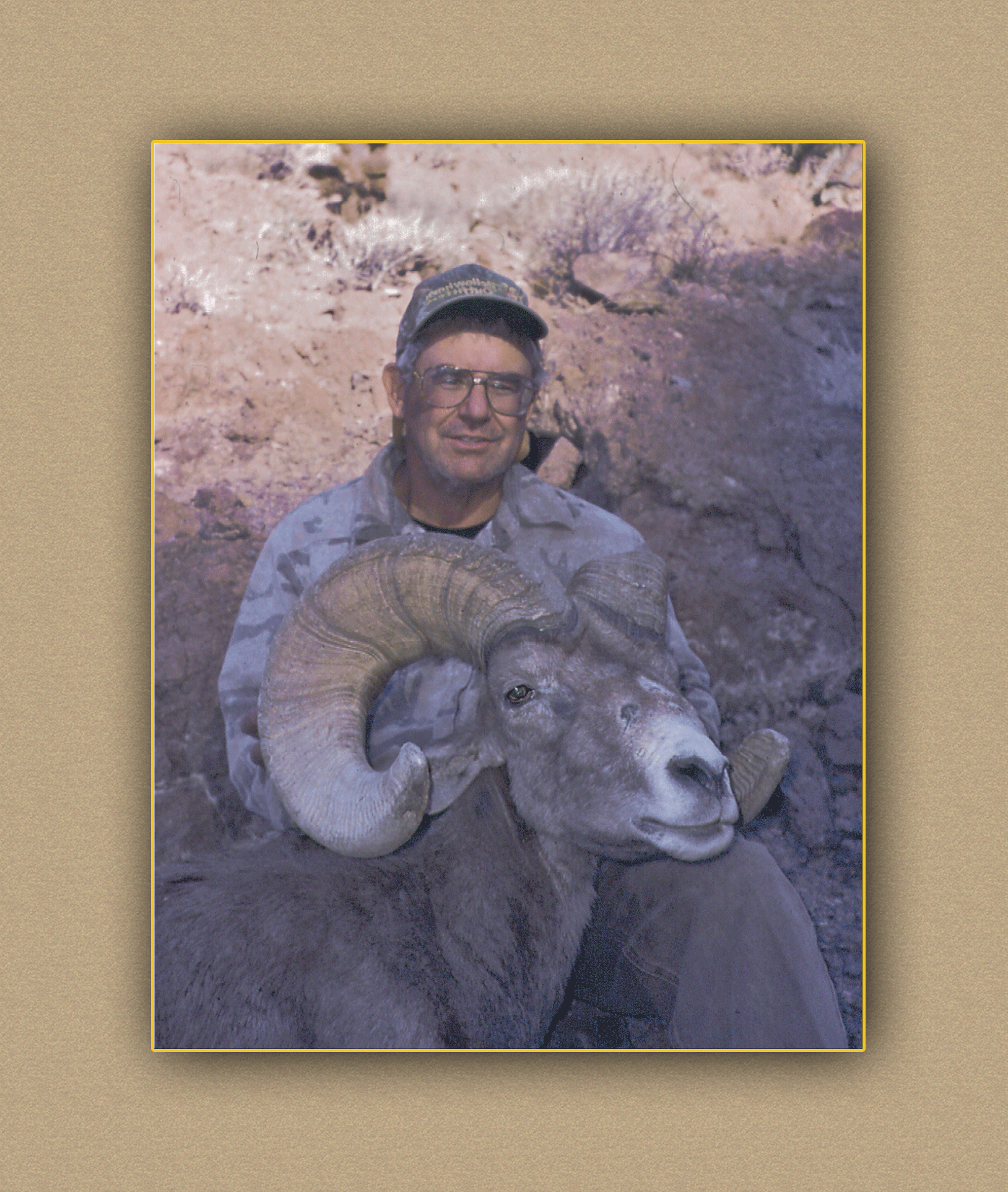 hunting yellowhorn bighorn sheep guiding outfitting deer elk antelope photography