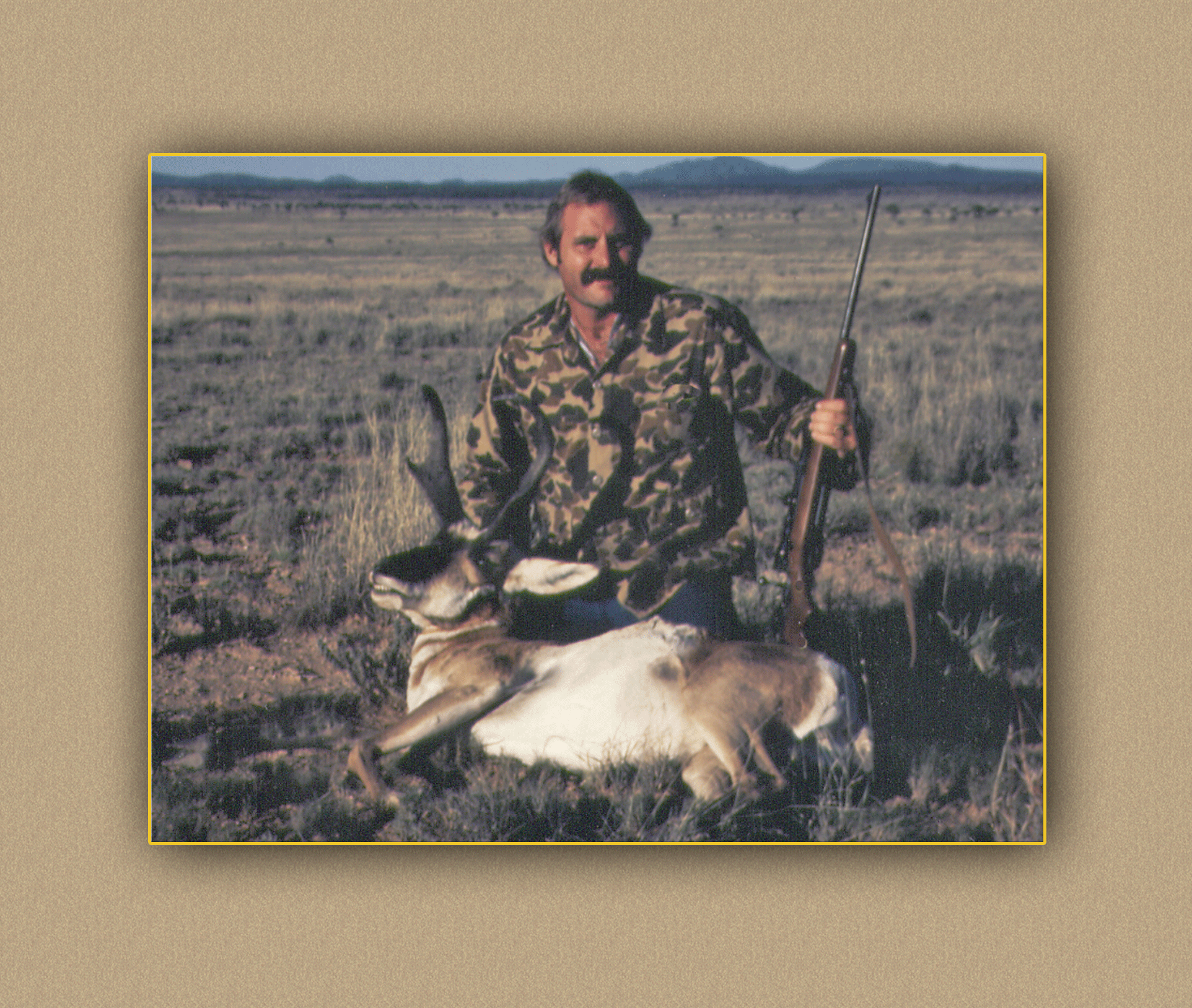 arizona hunting yellowhorn arizona bighorn sheep guiding outfitting deer elk antelope photography