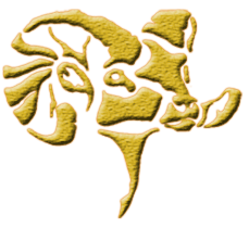 yellowhorn outfitters