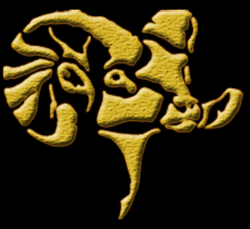 yellowhorn outfitters