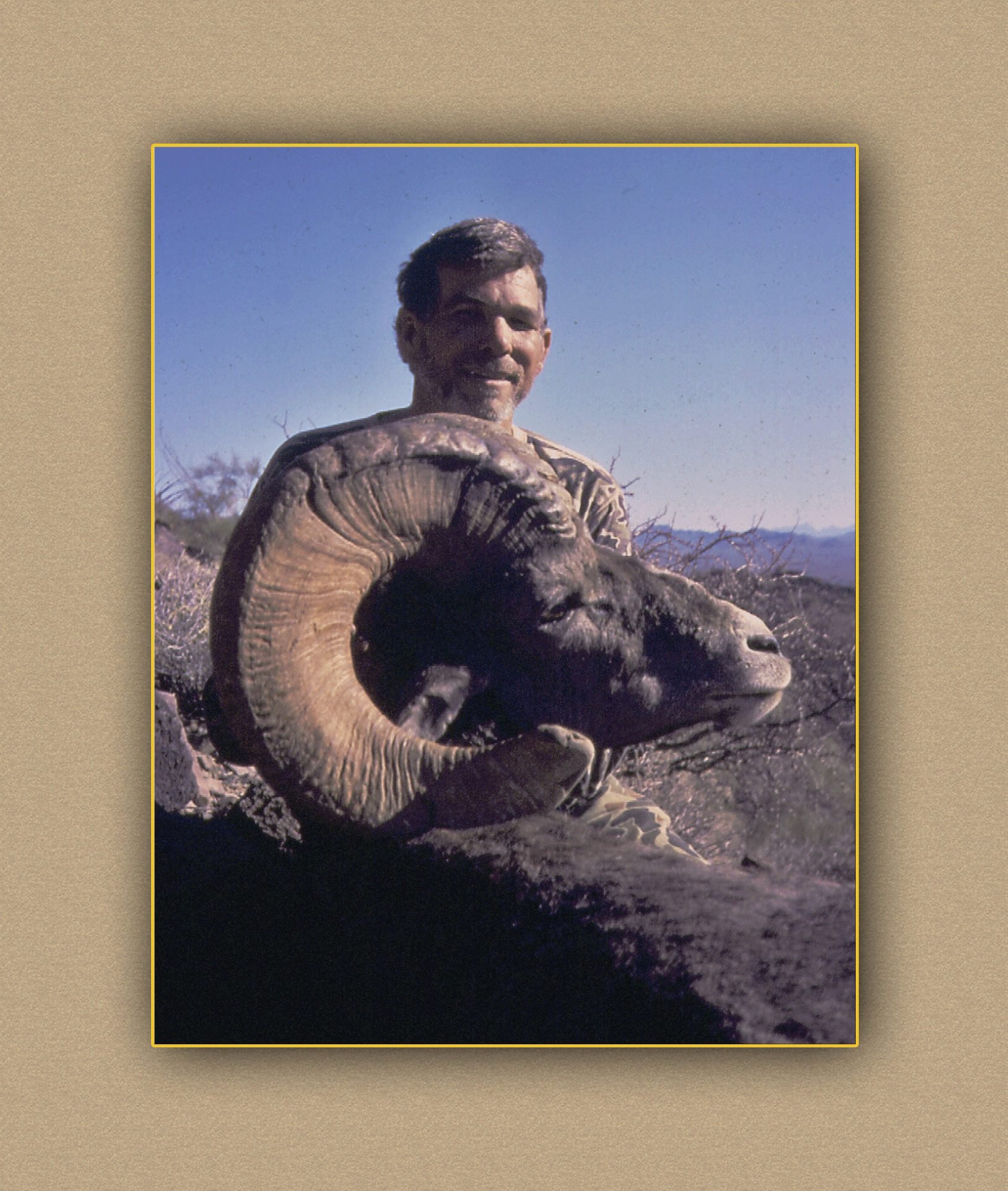 hunting yellowhorn bighorn sheep guiding outfitting deer elk antelope photography