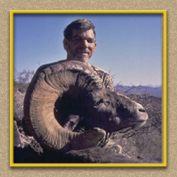 yellowhorn outfitters arizona hunting yellowhorn outfitters arizona bighorn sheep guiding outfitting deer elk antelope photography