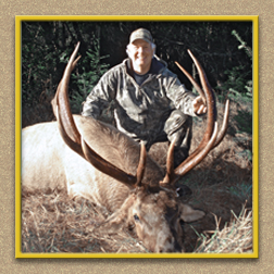 arizona hunting yellowhorn arizona bighorn sheep guiding outfitting deer elk antelope photography