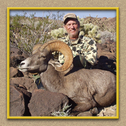 yellowhorn outfittersarizona hunting yellowhorn outfitters arizona bighorn sheep guiding outfitting deer elk antelope photography
