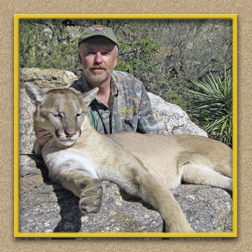 yellowhorn outfitters arizona hunting yellowhorn arizona bighorn sheep guiding outfitting deer elk antelope photography