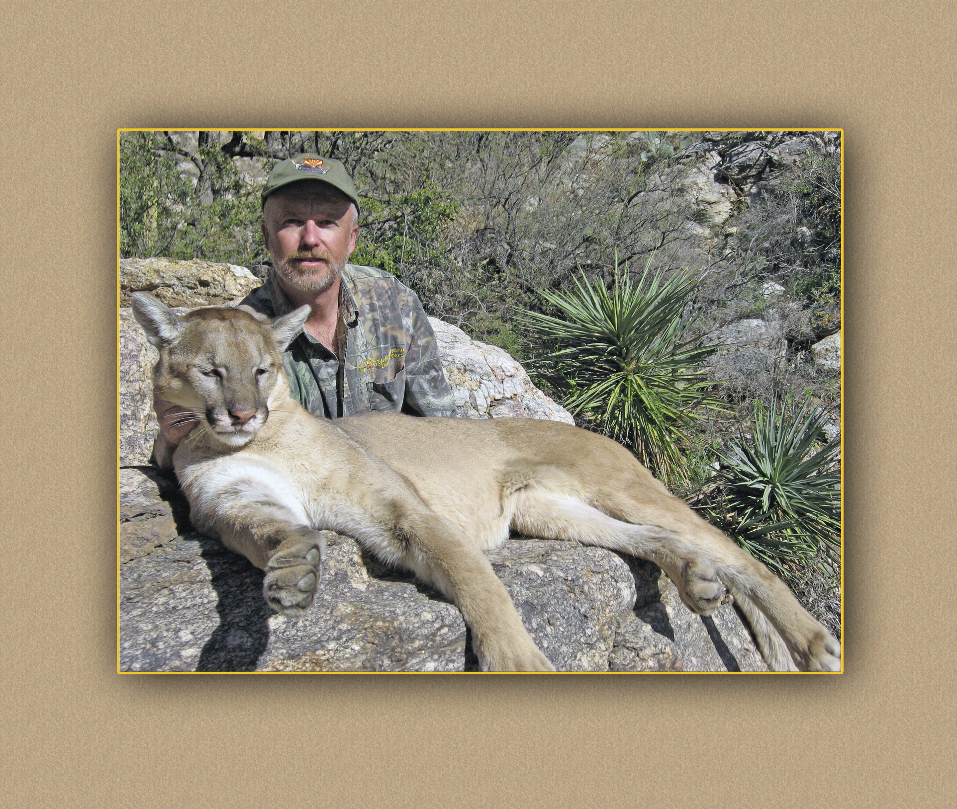 arizona hunting yellowhorn arizona bighorn sheep guiding outfitting deer elk antelope photography