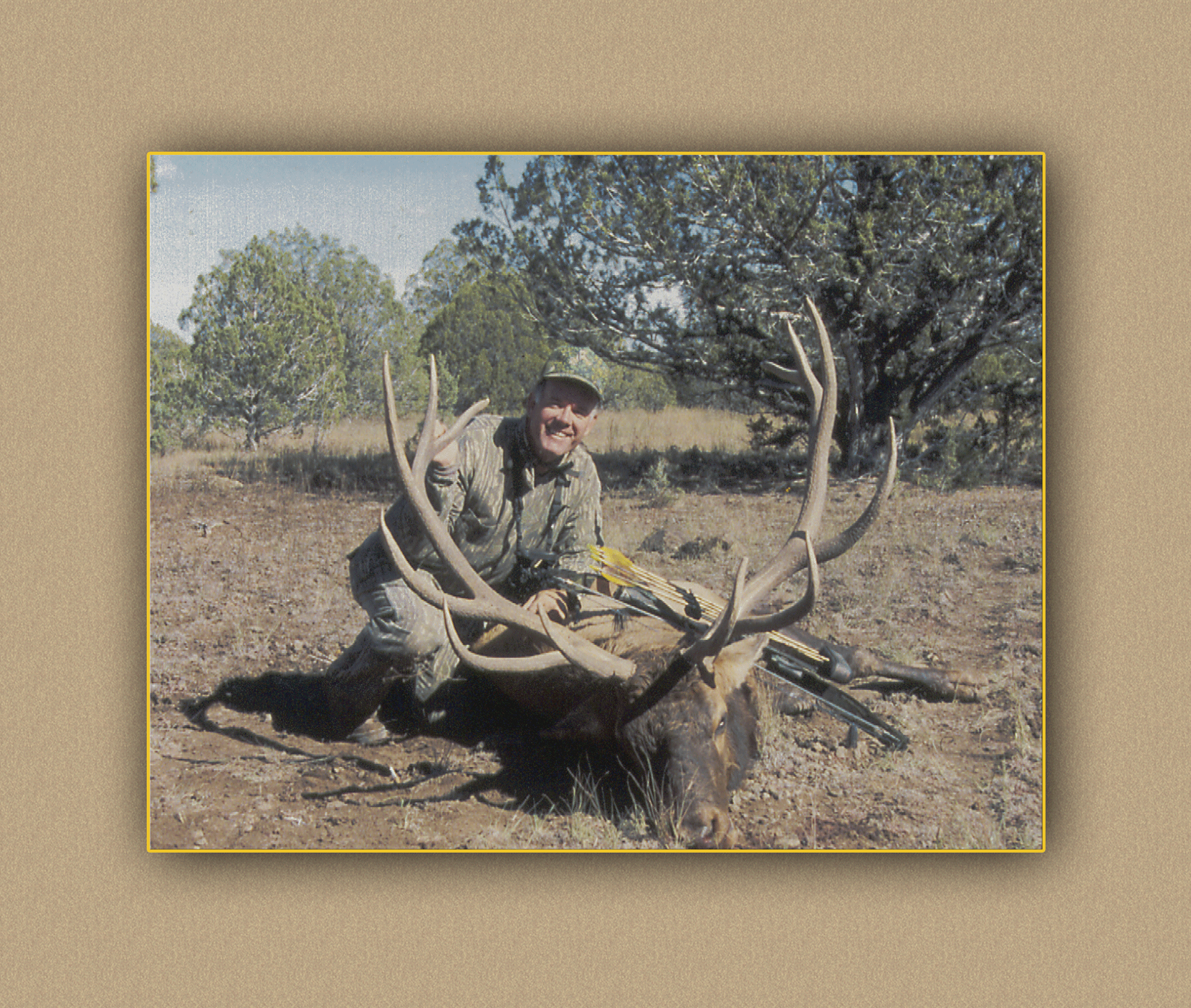 hunting yellowhorn bighorn sheep guiding outfitting deer elk antelope photography