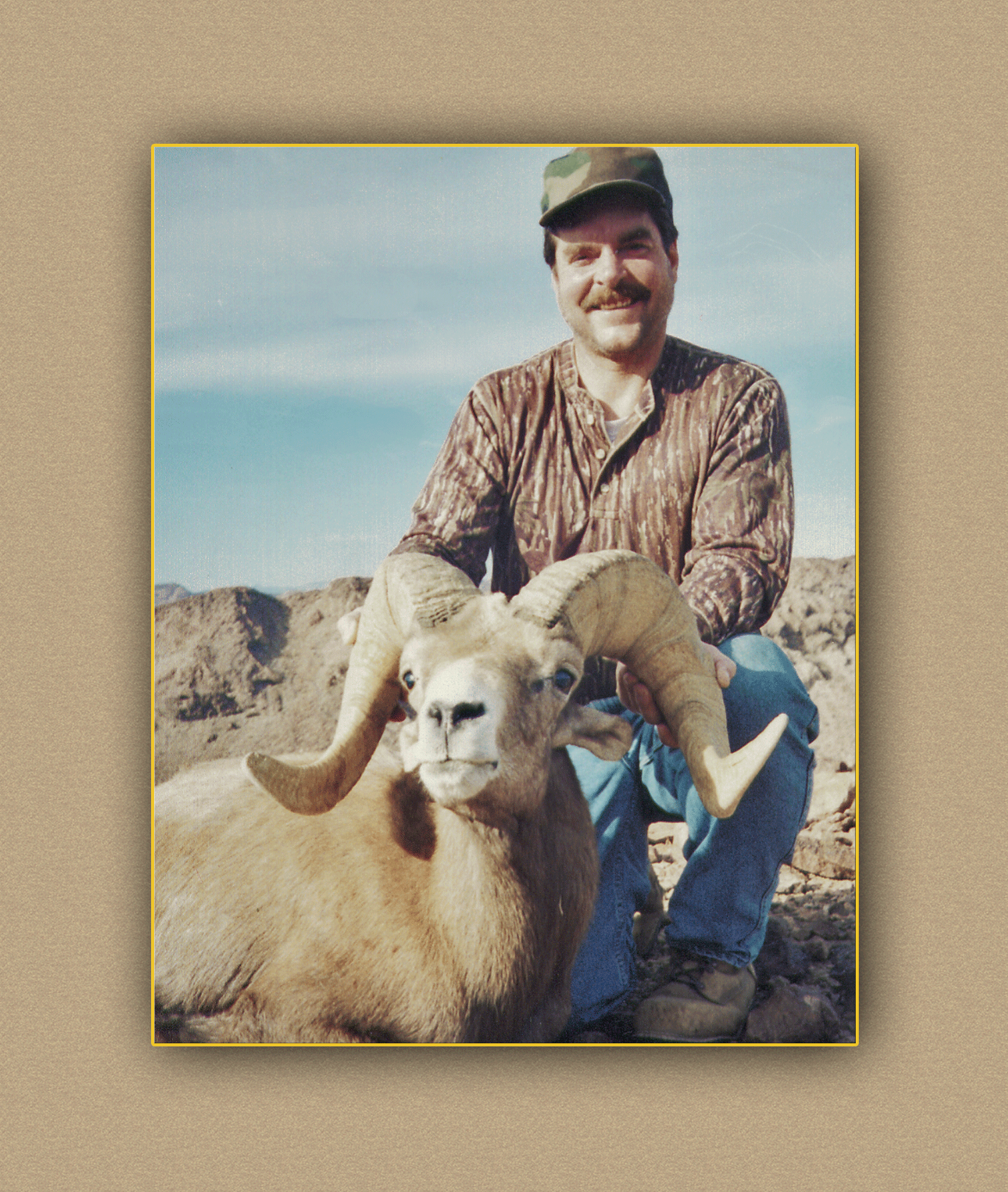 arizona hunting yellowhorn arizona bighorn sheep guiding outfitting deer elk antelope photography