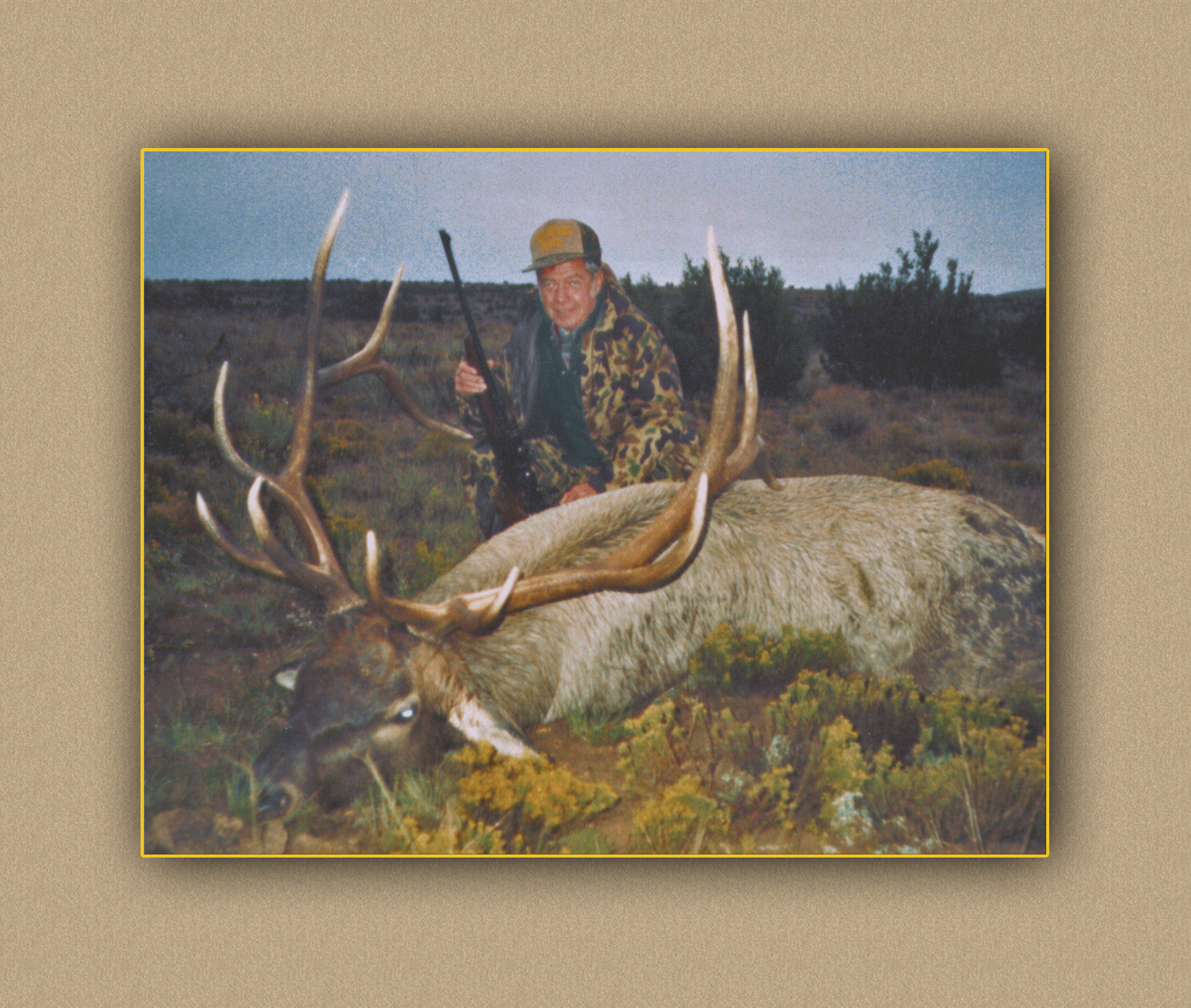 hunting yellowhorn guiding outfitting deer elk bighorn sheep antelope photography