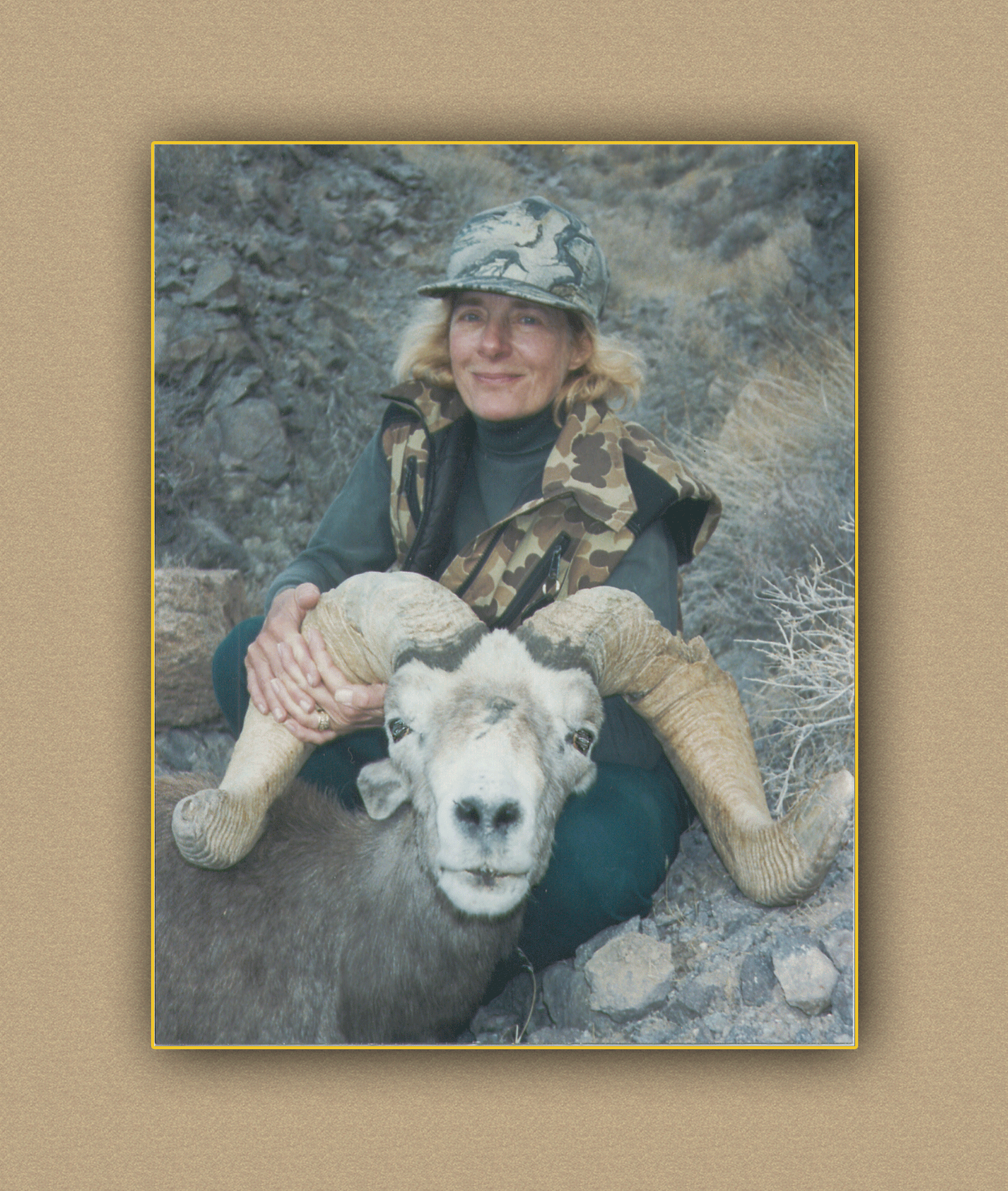 arizona hunting yellowhorn arizona bighorn sheep guiding outfitting deer elk antelope photography