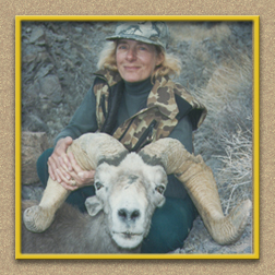 yellowhorn outfitters arizona hunting yellowhorn outfitters arizona bighorn sheep guiding outfitting deer elk antelope photography