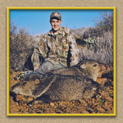 yellowhorn outfitters arizona hunting yellowhorn arizona bighorn sheep guiding outfitting deer elk antelope photography