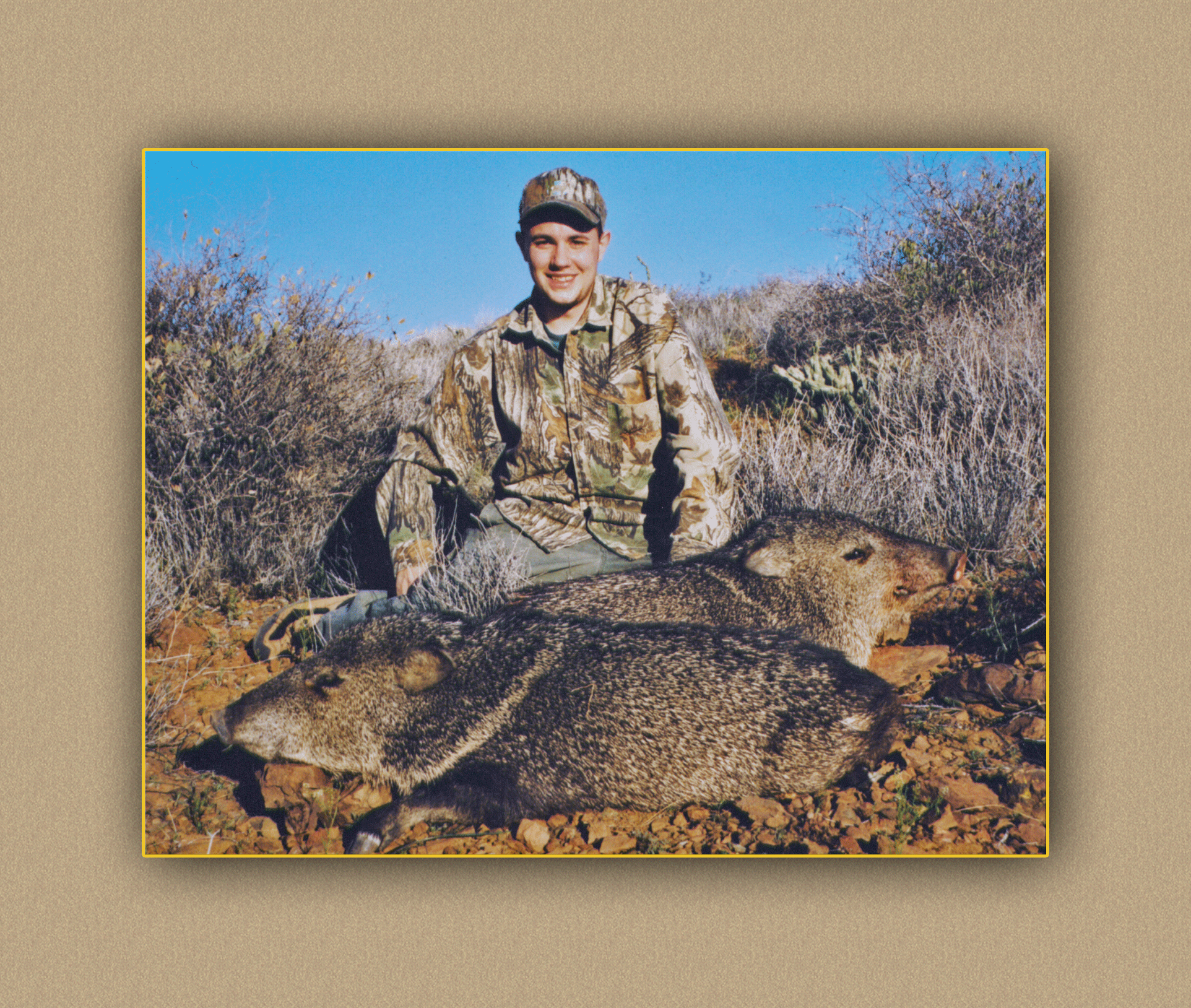 hunting yellowhorn guiding outfitting deer elk bighorn sheep antelope photography