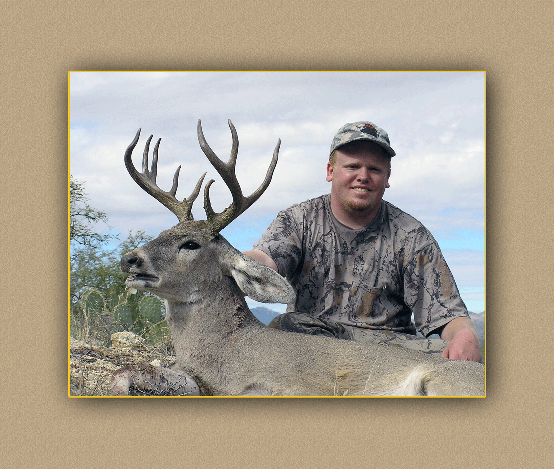 arizona hunting yellowhorn arizona bighorn sheep guiding outfitting deer elk antelope photography