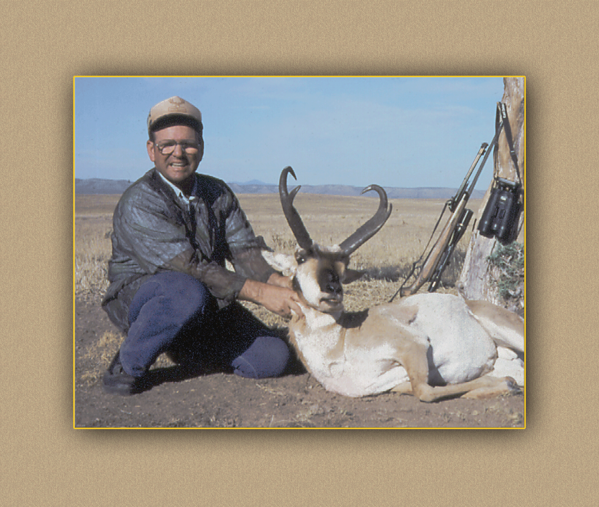 arizona hunting yellowhorn arizona bighorn sheep guiding outfitting deer elk antelope photography