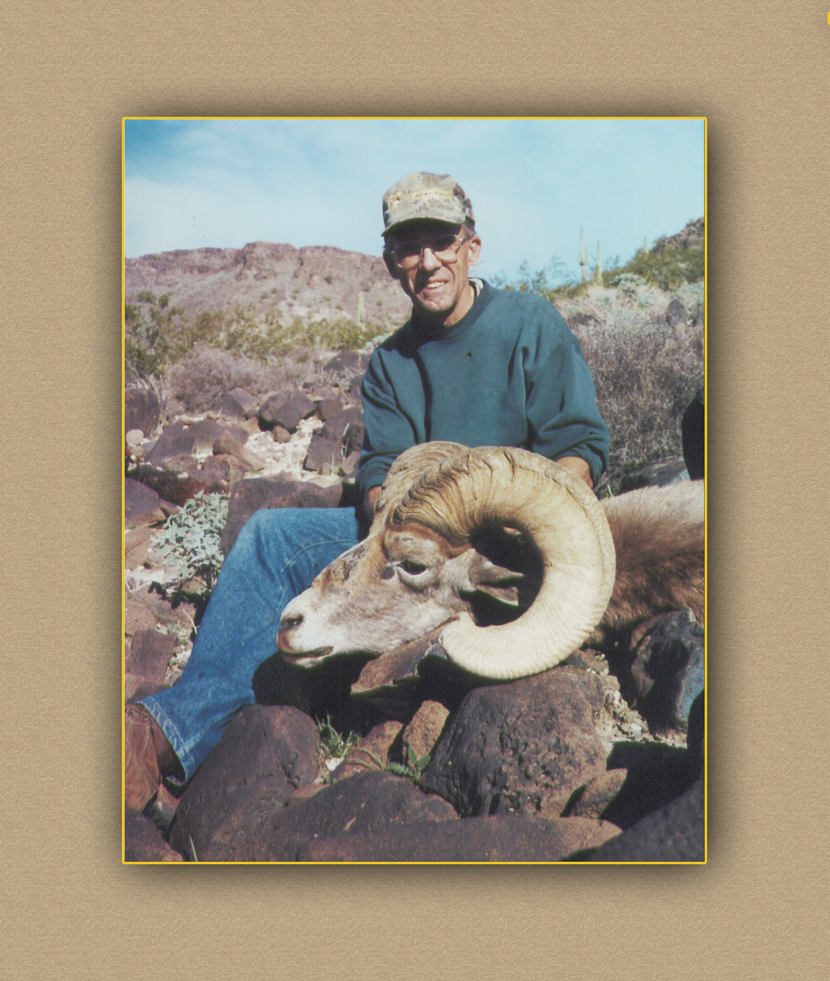 hunting yellowhorn bighorn sheep guiding outfitting deer elk antelope photography
