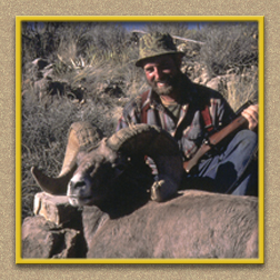 yellowhorn outfitters arizona hunting yellowhorn outfitters arizona bighorn sheep guiding outfitting deer elk antelope photography