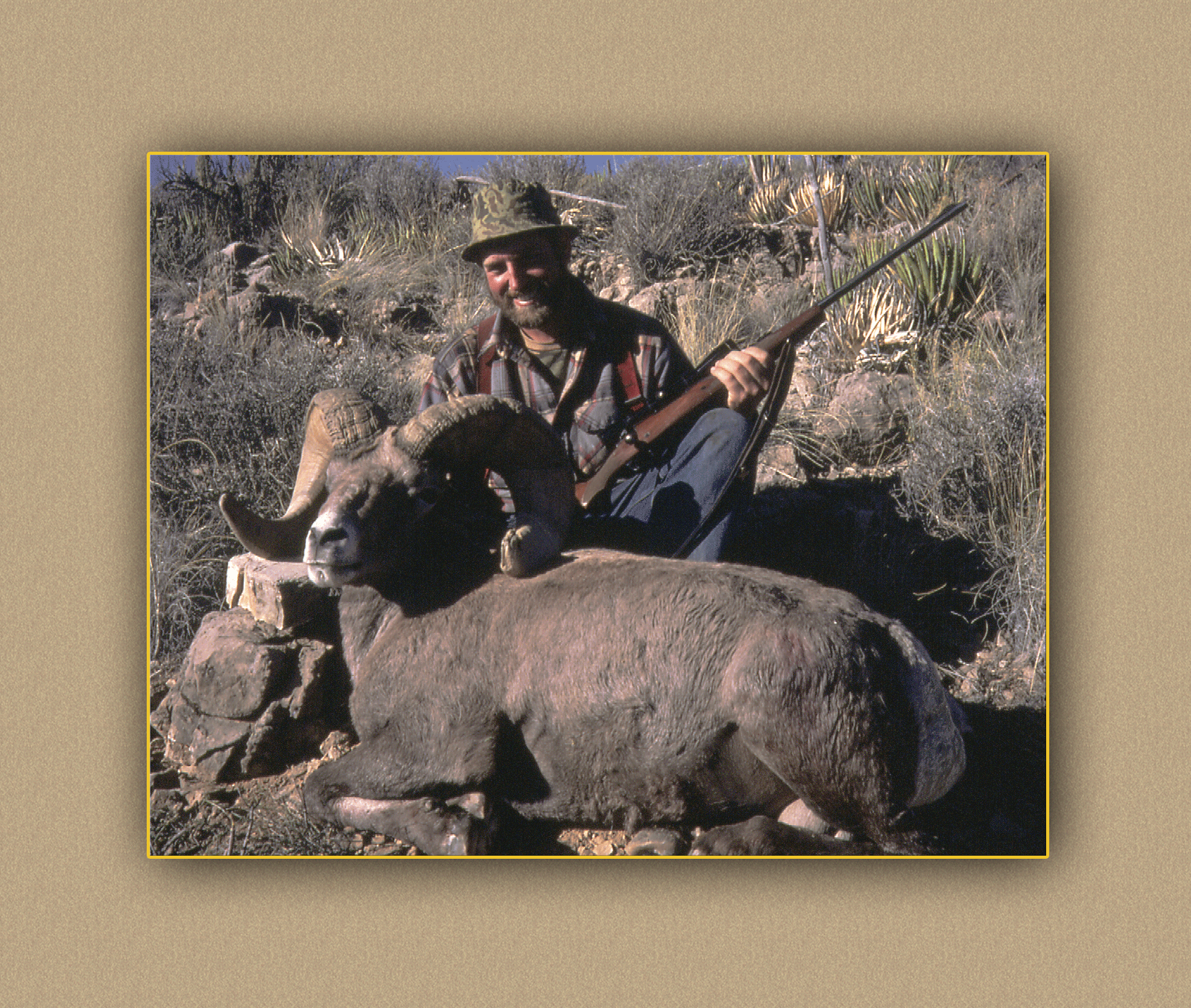 hunting yellowhorn bighorn sheep guiding outfitting deer elk antelope photography
