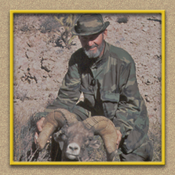 yellowhorn outfitters arizona hunting yellowhorn outfitters arizona bighorn sheep guiding outfitting deer elk antelope photography