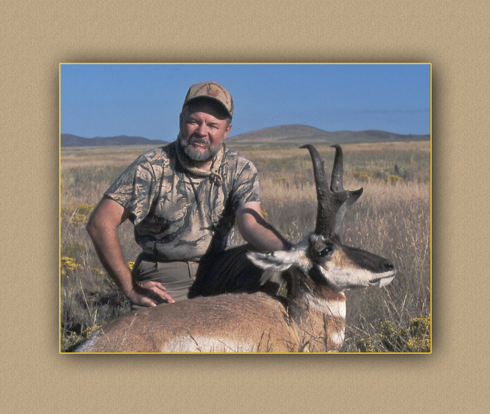 hunting yellowhorn bighorn sheep guiding outfitting deer elk antelope photography