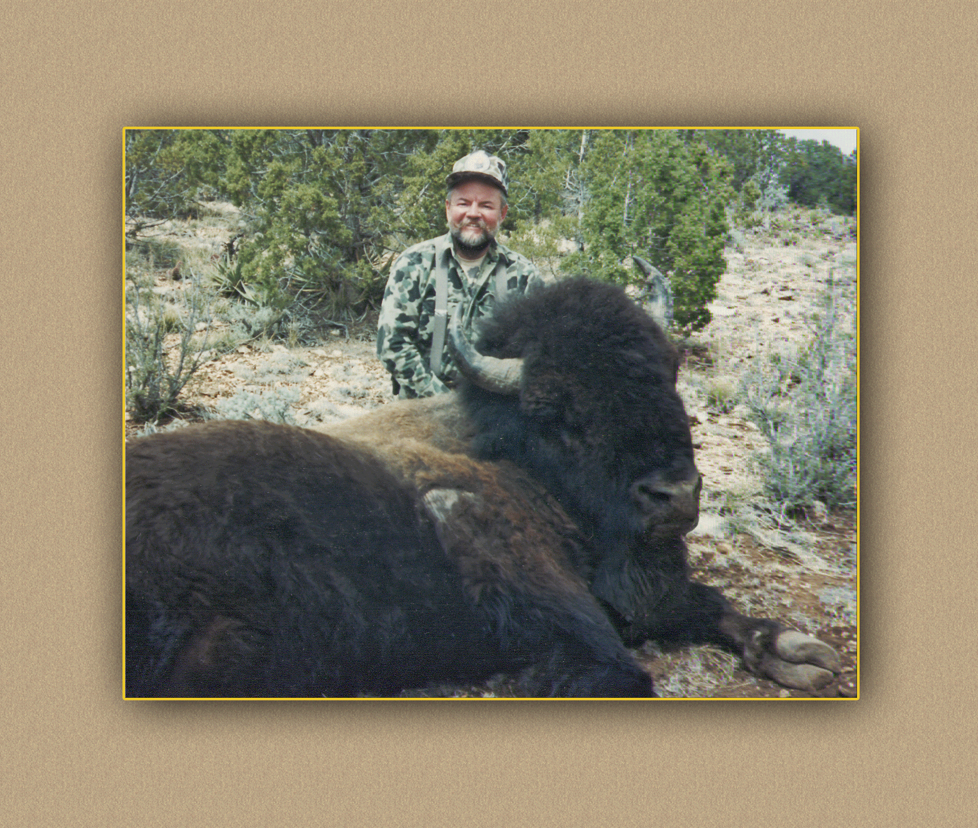 arizona hunting yellowhorn arizona bighorn sheep guiding outfitting deer elk antelope photography