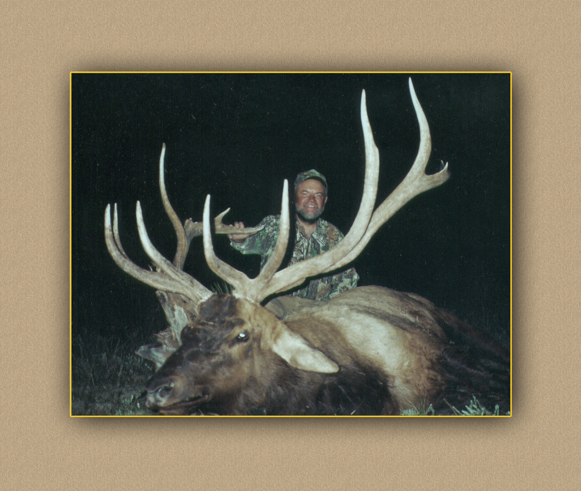 hunting yellowhorn guiding outfitting deer elk bighorn sheep antelope photography