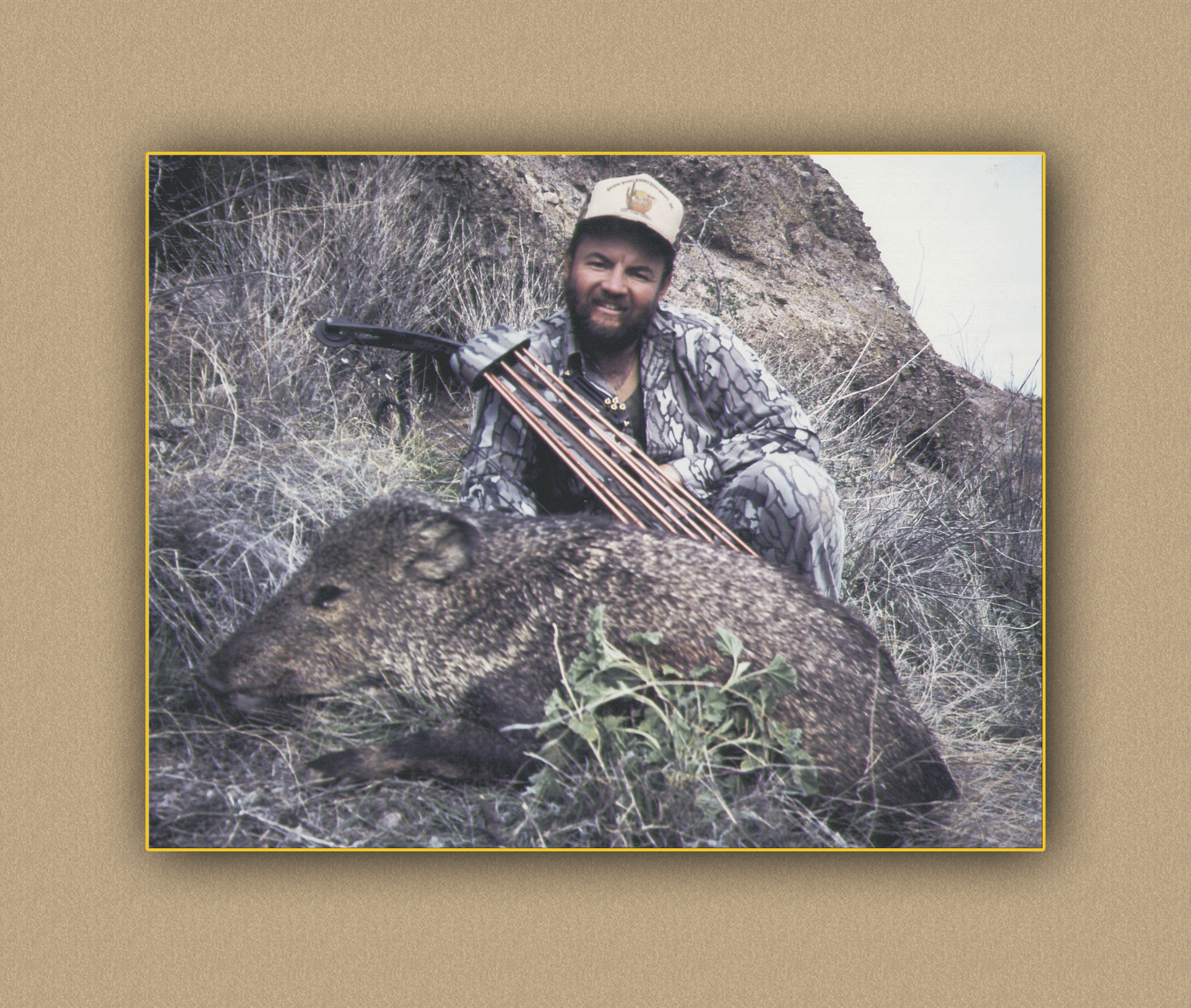 arizona hunting yellowhorn arizona bighorn sheep guiding outfitting deer elk antelope photography