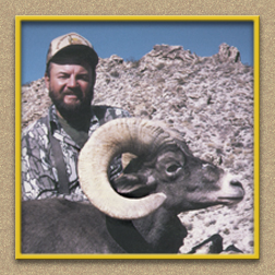 yellowhorn outfitters arizona hunting yellowhorn outfitters arizona bighorn sheep guiding outfitting deer elk antelope photography