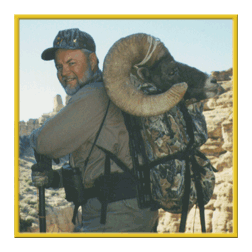 arizona hunting yellowhorn arizona bighorn sheep guiding outfitting deer elk antelope photography