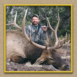 yellowhorn outfitters arizona hunting yellowhorn arizona bighorn sheep guiding outfitting deer elk antelope photography