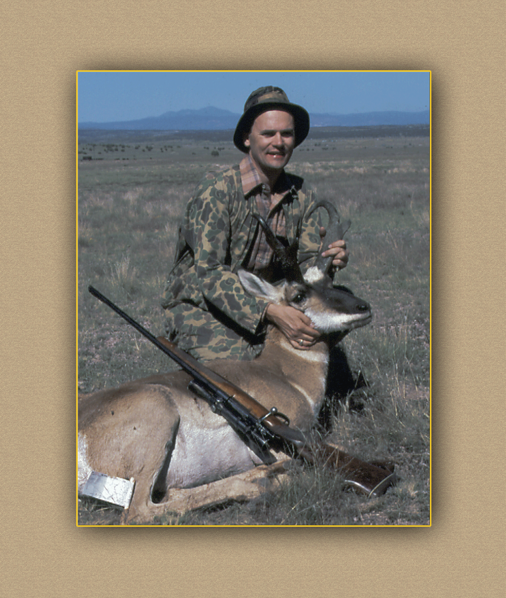 arizona hunting yellowhorn arizona bighorn sheep guiding outfitting deer elk antelope photography