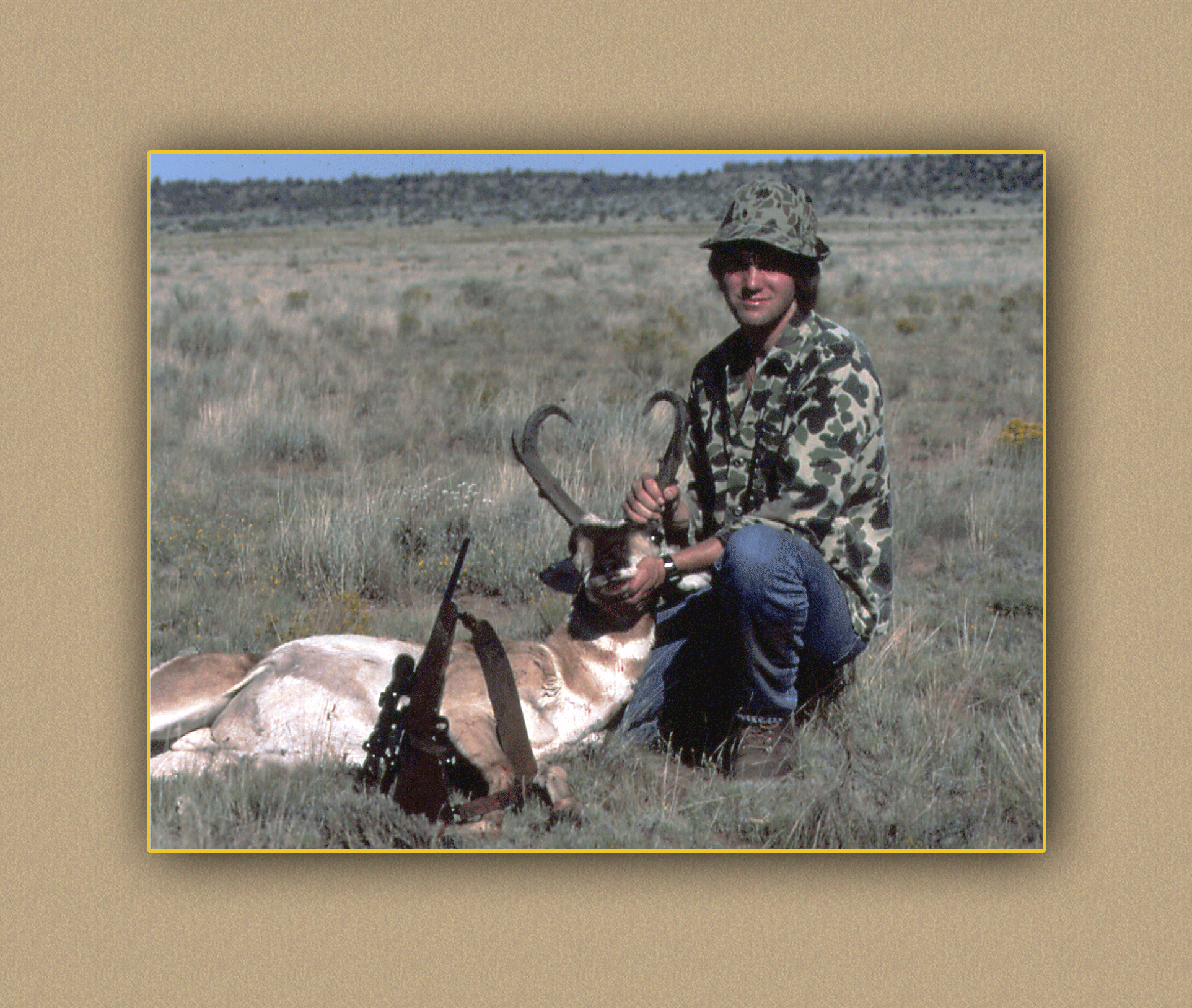 arizona hunting yellowhorn arizona bighorn sheep guiding outfitting deer elk antelope photography