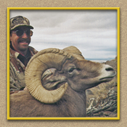 yellowhorn outfitters arizona hunting yellowhorn outfitters arizona bighorn sheep guiding outfitting deer elk antelope photography