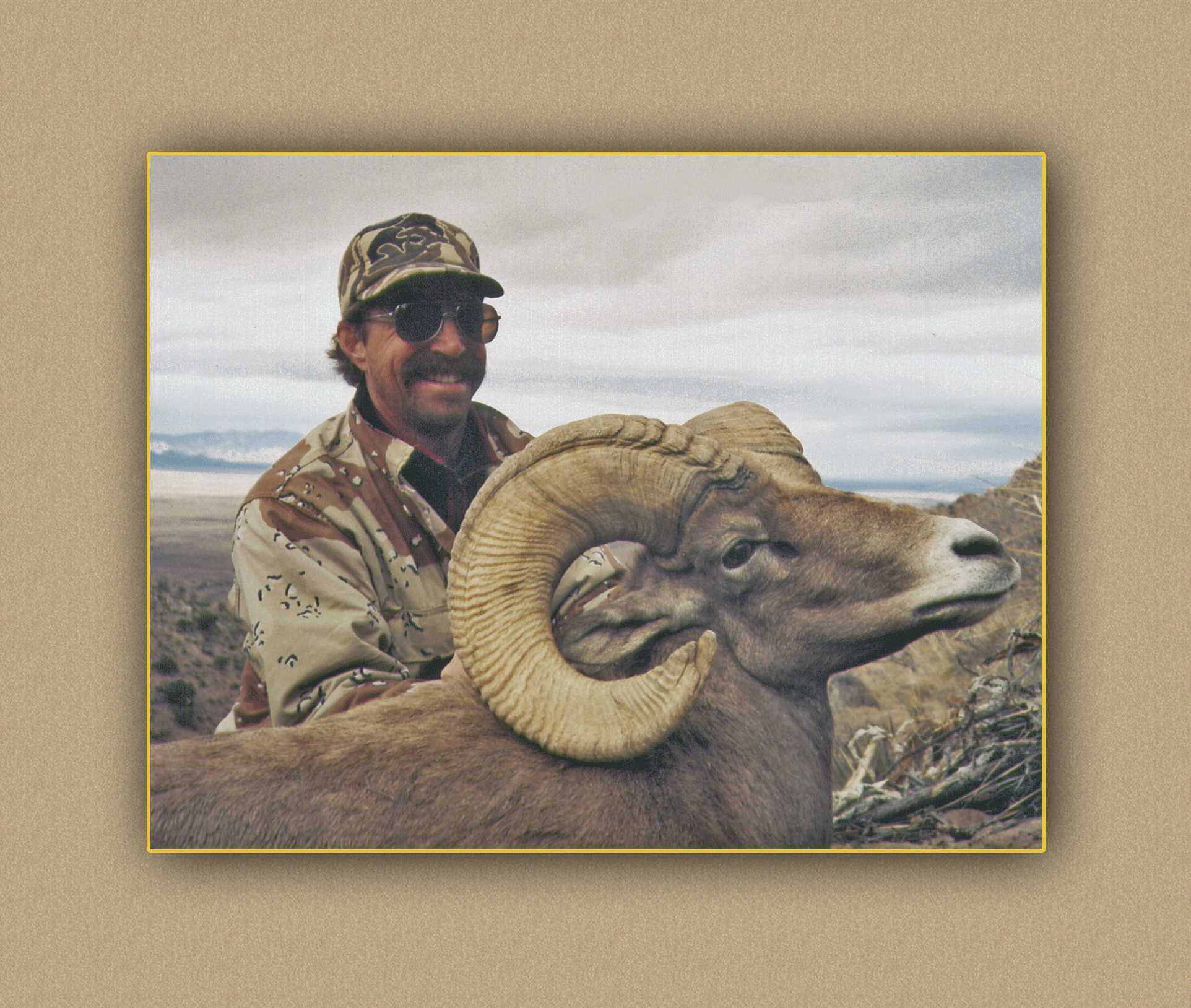 arizona hunting yellowhorn arizona bighorn sheep guiding outfitting deer elk antelope photography
