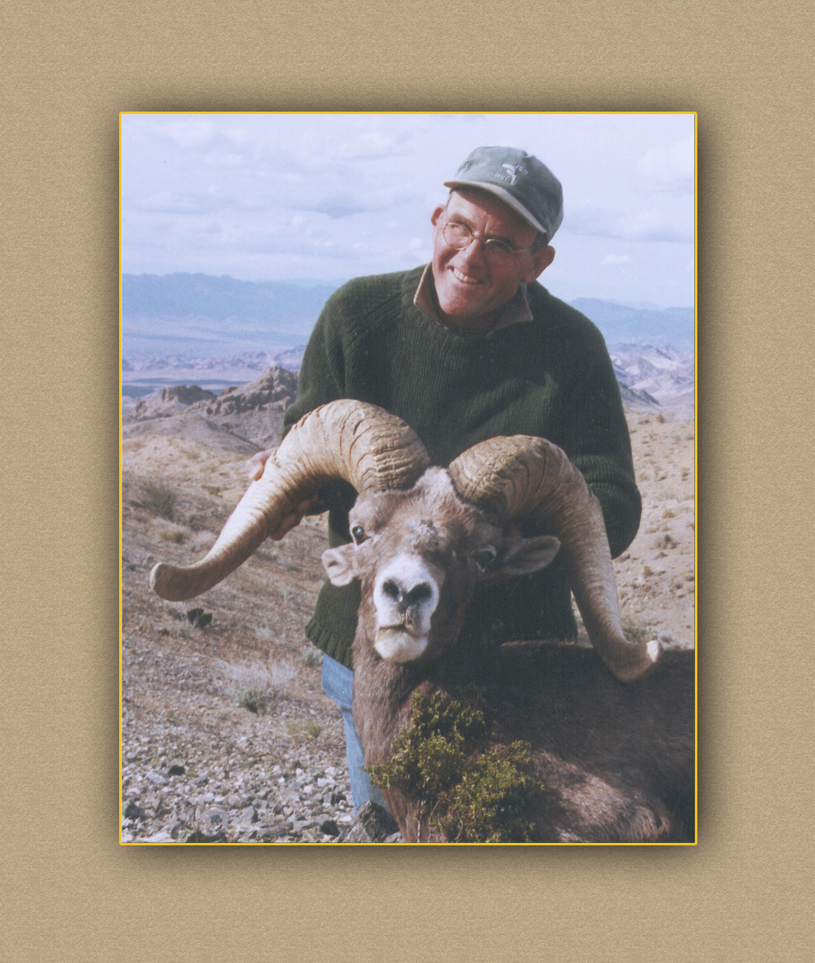 arizona hunting yellowhorn arizona bighorn sheep guiding outfitting deer elk antelope photography