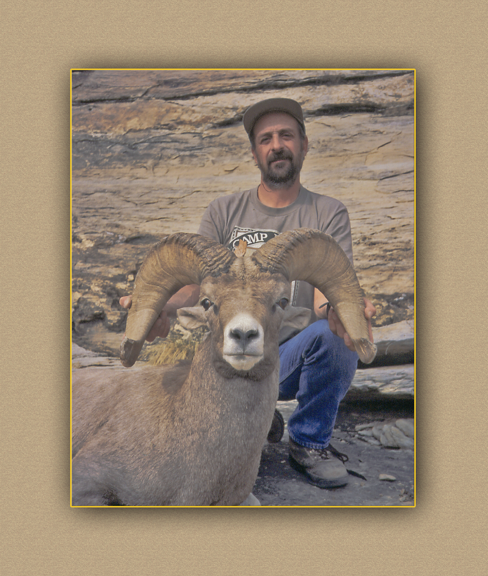 hunting yellowhorn bighorn sheep guiding outfitting deer elk antelope photography
