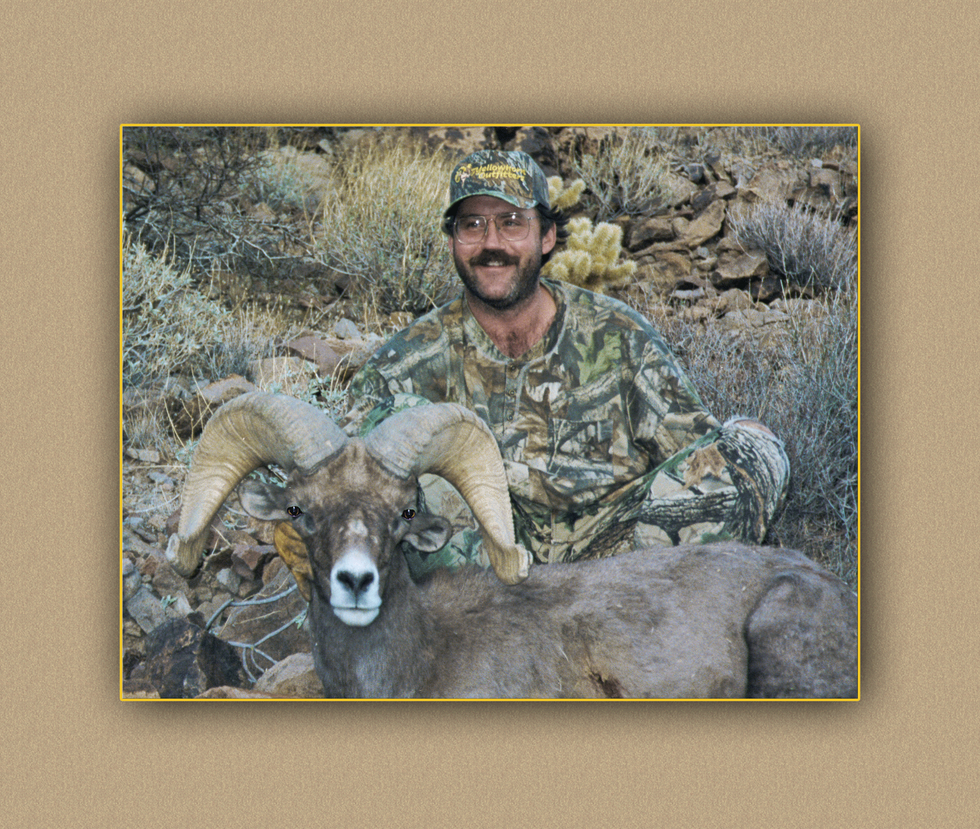 arizona hunting yellowhorn arizona bighorn sheep guiding outfitting deer elk antelope photography